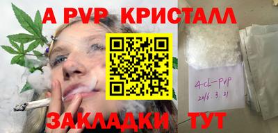бошки Тара