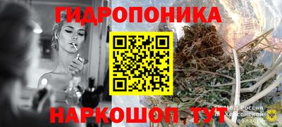 бошки Тара