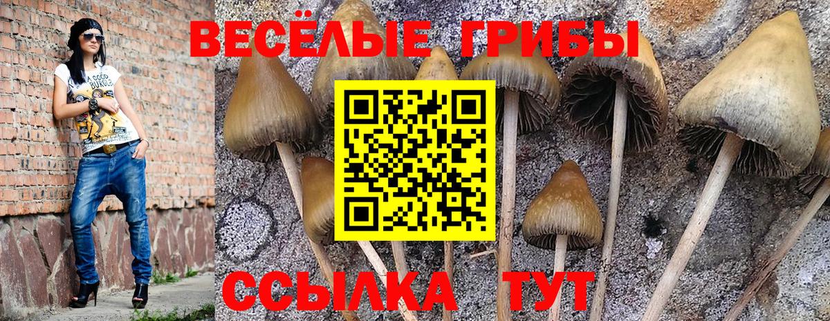 Галлюциногенные грибы мухоморы Нововоронеж